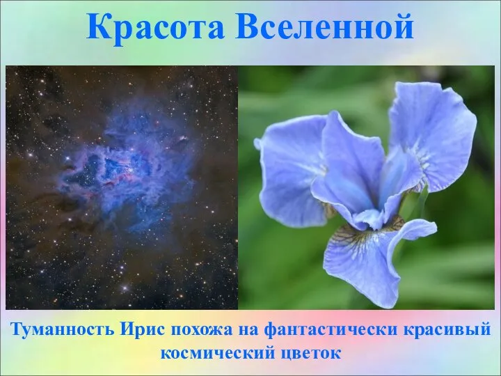 Красота Вселенной Туманность Ирис похожа на фантастически красивый космический цветок