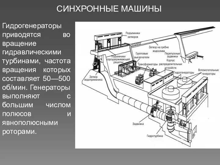 СИНХРОННЫЕ МАШИНЫ Гидрогенераторы приводятся во вращение гидравлическими турбинами, частота вращения которых