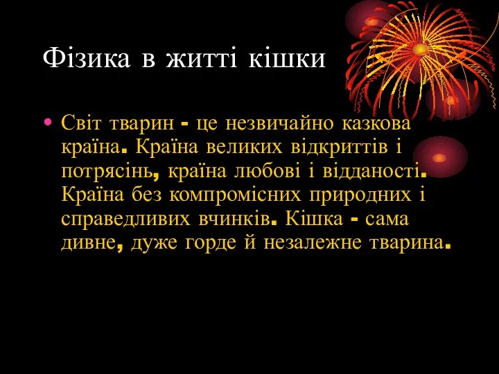 Фізика в житті кішки Світ тварин - це незвичайно казкова країна.