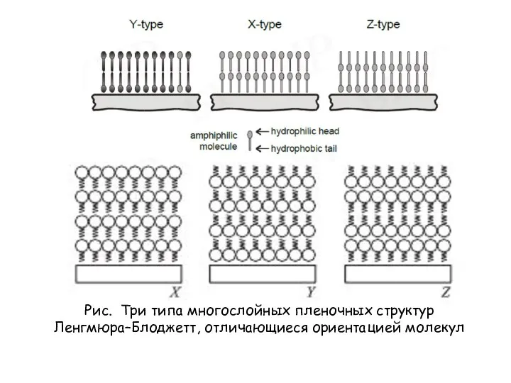 Рис. Три типа многослойных пленочных структур Ленгмюра–Блоджетт, отличающиеся ориентацией молекул