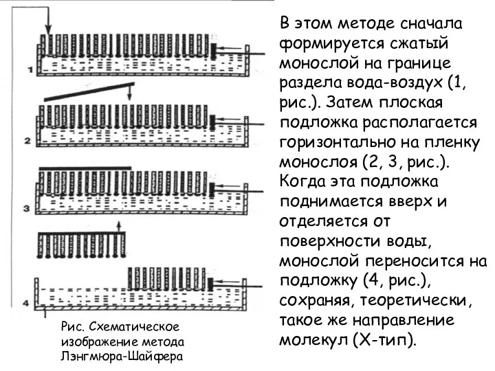 Рис. Схематическое изображение метода Лэнгмюра-Шайфера В этом методе сначала формируется сжатый