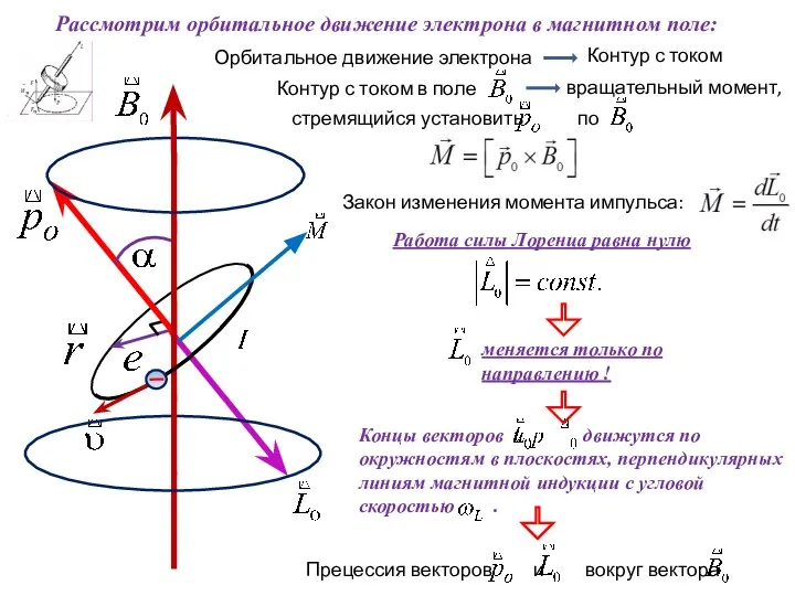 Работа силы Лоренца равна нулю Рассмотрим орбитальное движение электрона в магнитном