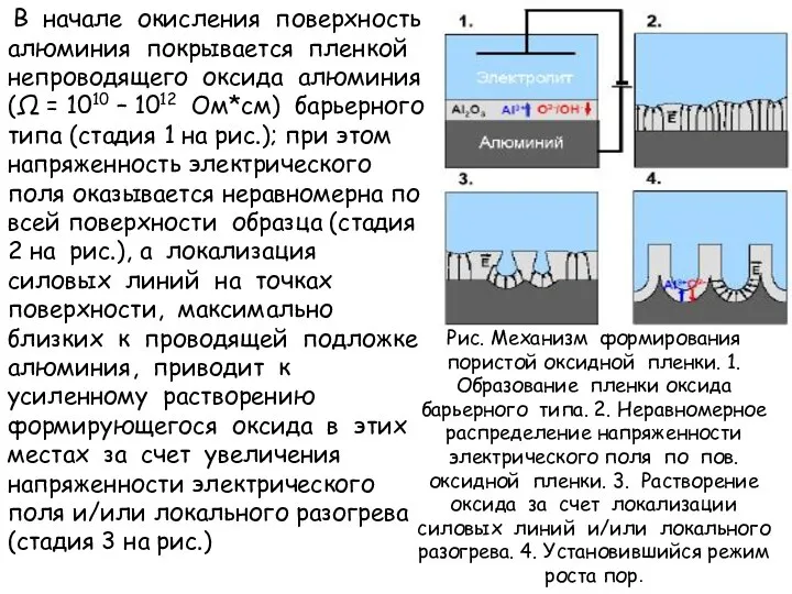 В начале окисления поверхность алюминия покрывается пленкой непроводящего оксида алюминия (Ω