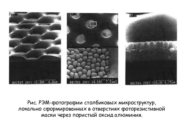 Рис. РЭМ-фотографии столбиковых микроструктур, локально сформированных в отверстиях фоторезистивной маски через пористый оксид алюминия.