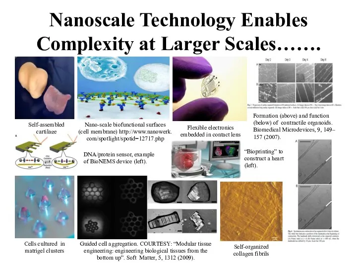 Nanoscale Technology Enables Complexity at Larger Scales……. Self-assembled cartilage Cells cultured