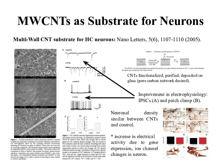 MWCNTs as Substrate for Neurons Multi-Wall CNT substrate for HC neurons: