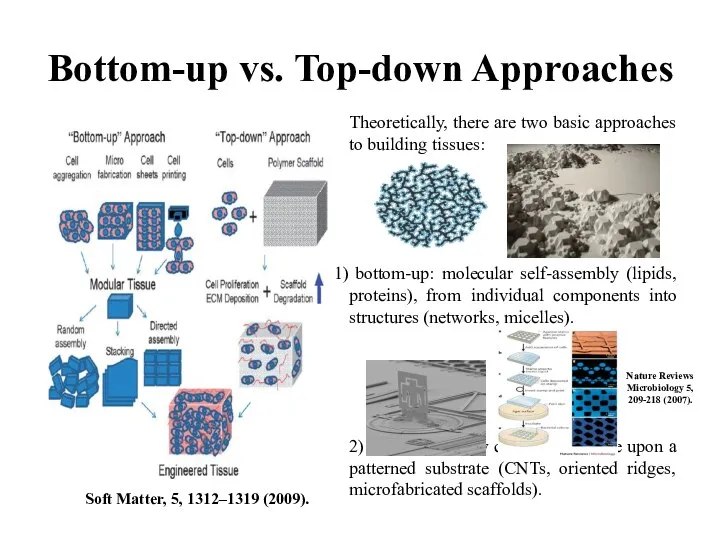 Bottom-up vs. Top-down Approaches Soft Matter, 5, 1312–1319 (2009). Theoretically, there
