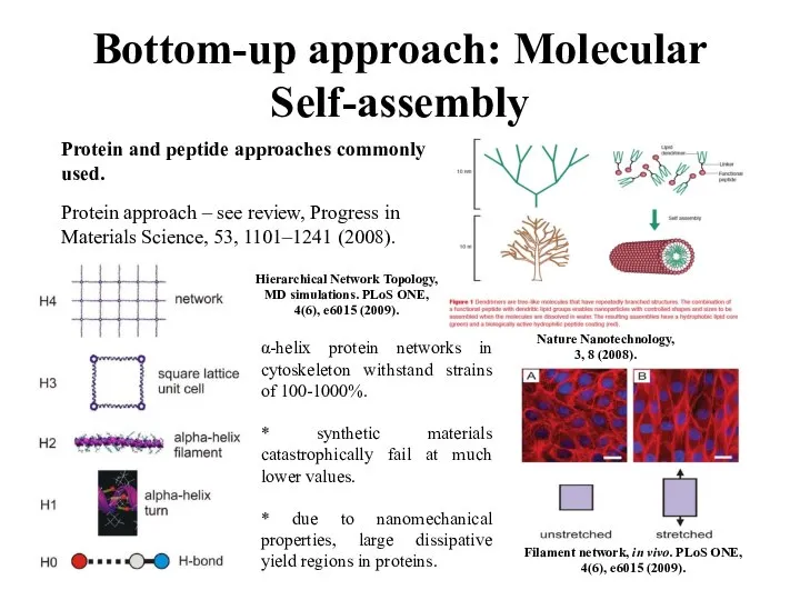 Bottom-up approach: Molecular Self-assembly Protein and peptide approaches commonly used. Protein