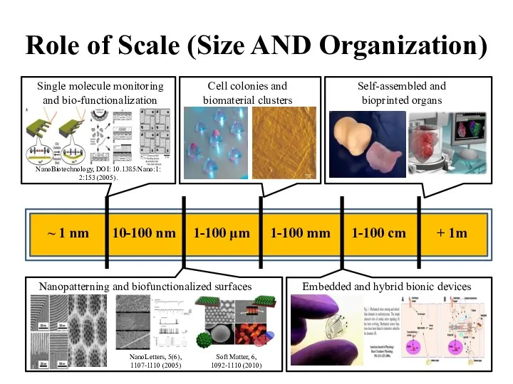 Role of Scale (Size AND Organization) Nanopatterning and biofunctionalized surfaces Cell