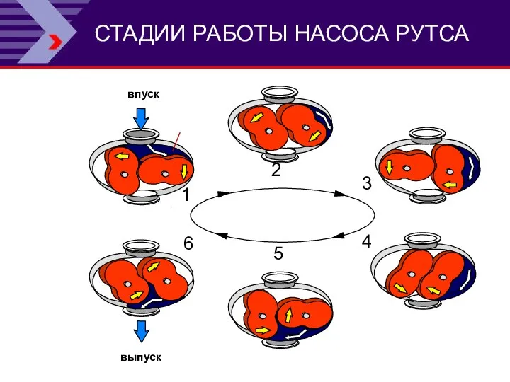 СТАДИИ РАБОТЫ НАСОСА РУТСА