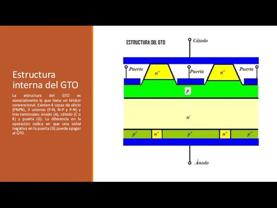 Estructura interna del GTO La estructura del GTO es esencialmente la