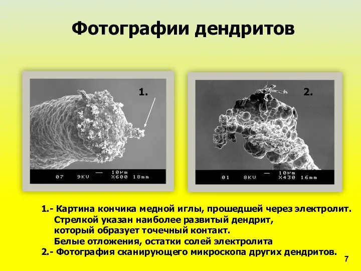 Фотографии дендритов 1.- Картина кончика медной иглы, прошедшей через электролит. Стрелкой