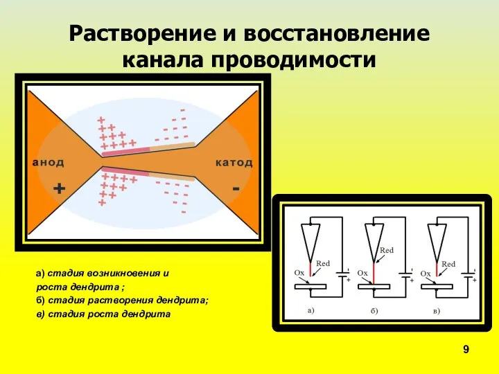 Растворение и восстановление канала проводимости а) стадия возникновения и роста дендрита