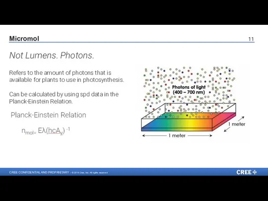 Refers to the amount of photons that is available for plants