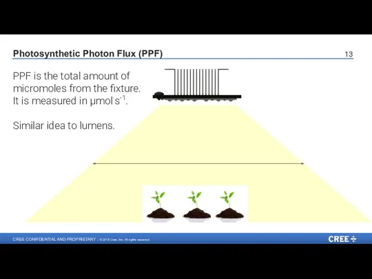 Photosynthetic Photon Flux (PPF) PPF is the total amount of micromoles