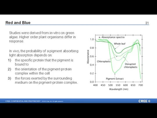 Studies were derived from in-vitro on green algae. Higher order plant