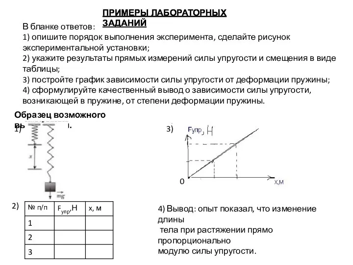 ПРИМЕРЫ ЛАБОРАТОРНЫХ ЗАДАНИЙ ПРИМЕРЫ ЛАБОРАТОРНЫХ ЗАДАНИЙ Образец возможного выполнения. В бланке