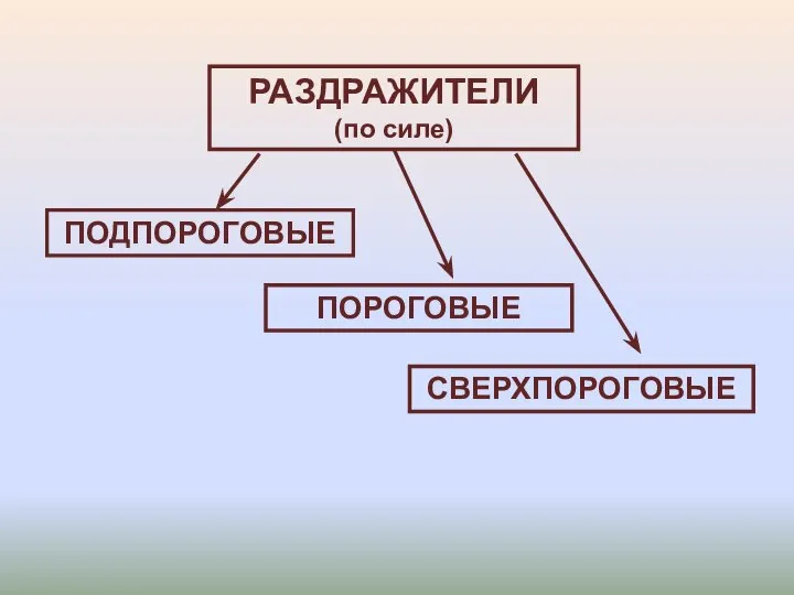 РАЗДРАЖИТЕЛИ (по силе) ПОДПОРОГОВЫЕ СВЕРХПОРОГОВЫЕ ПОРОГОВЫЕ