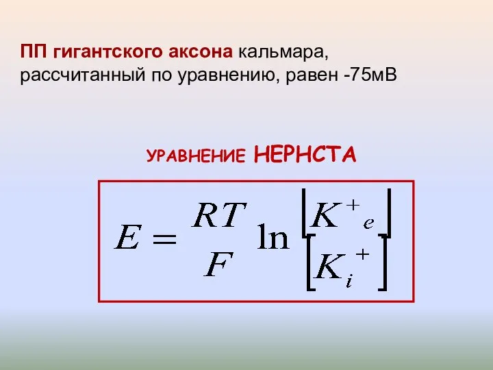 ПП гигантского аксона кальмара, рассчитанный по уравнению, равен -75мВ УРАВНЕНИЕ НЕРНСТА