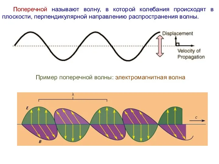 Поперечной называют волну, в которой колебания происходят в плоскости, перпендикулярной направлению