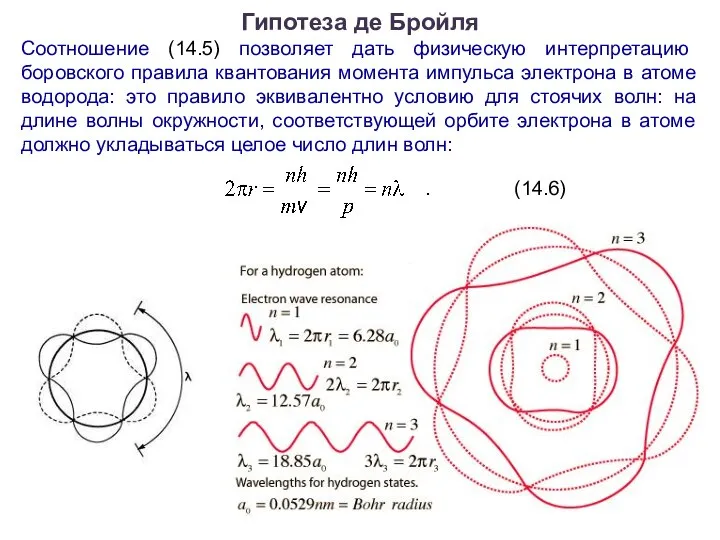 Гипотеза де Бройля Соотношение (14.5) позволяет дать физическую интерпретацию боровского правила