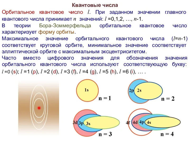 Квантовые числа Орбитальное квантовое число l. При заданном значении главного квантового