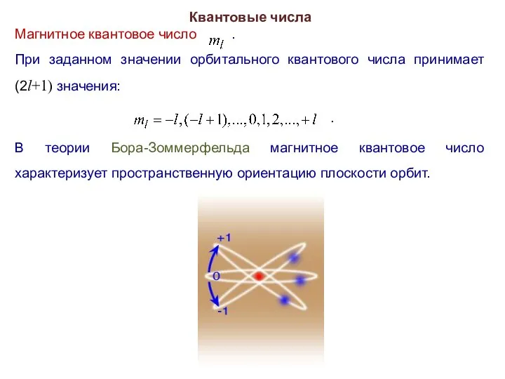 Квантовые числа Магнитное квантовое число . При заданном значении орбитального квантового