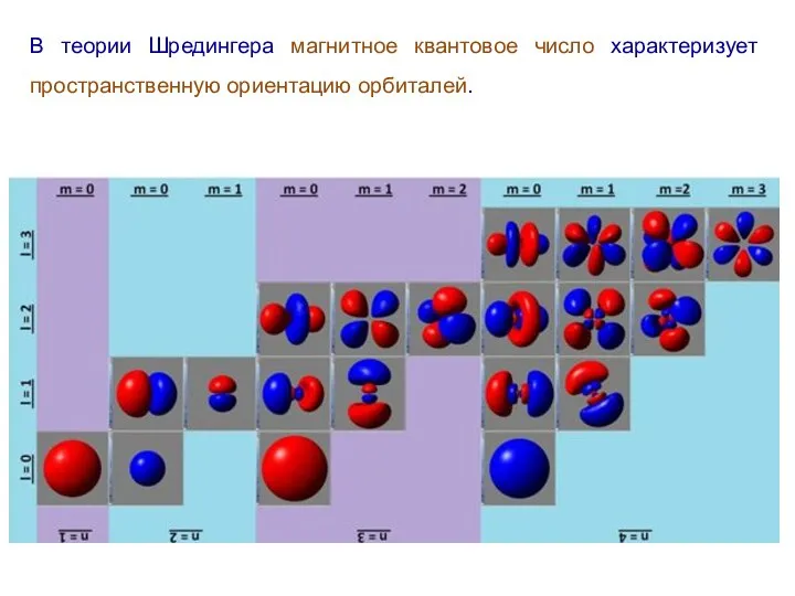 В теории Шредингера магнитное квантовое число характеризует пространственную ориентацию орбиталей.