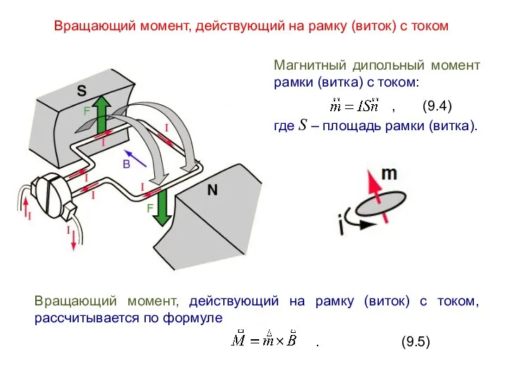 Вращающий момент, действующий на рамку (виток) с током Вращающий момент, действующий