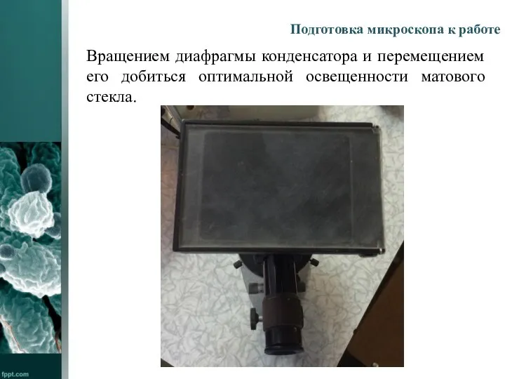 Подготовка микроскопа к работе Вращением диафрагмы конденсатора и перемещением его добиться оптимальной освещенности матового стекла.