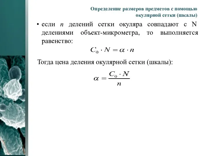 Определение размеров предметов с помощью окулярной сетки (шкалы) если n делений