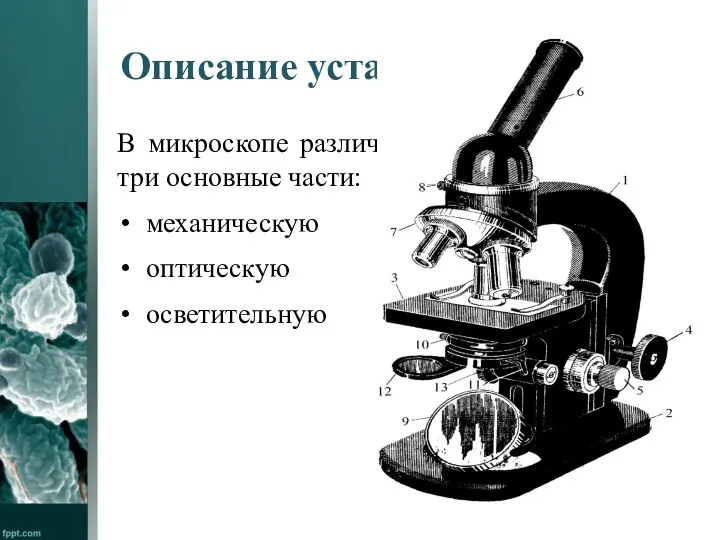 Описание установки В микроскопе различают три основные части: механическую оптическую осветительную