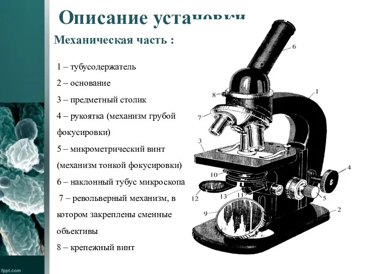 Описание установки 1 – тубусодержатель 2 – основание 3 – предметный