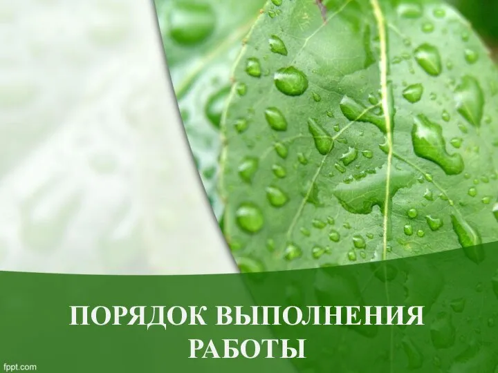 ПОРЯДОК ВЫПОЛНЕНИЯ РАБОТЫ