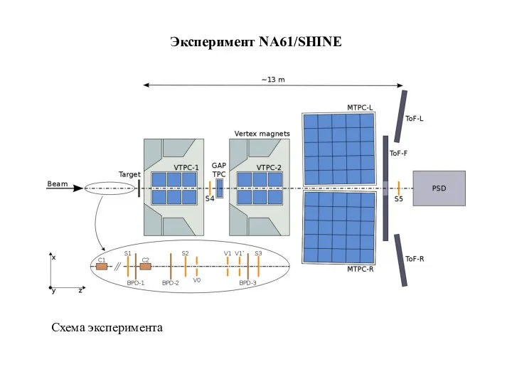 Эксперимент NA61/SHINE Cхема эксперимента