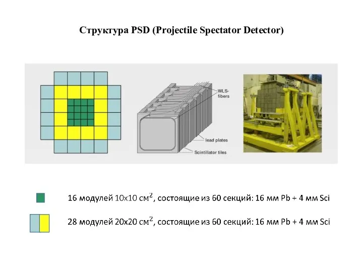 Структура PSD (Projectile Spectator Detector)