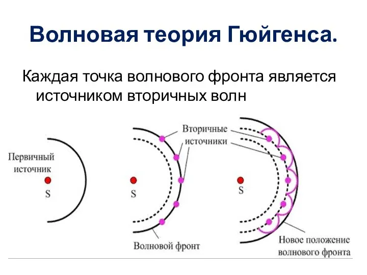 Волновая теория Гюйгенса. Каждая точка волнового фронта является источником вторичных волн