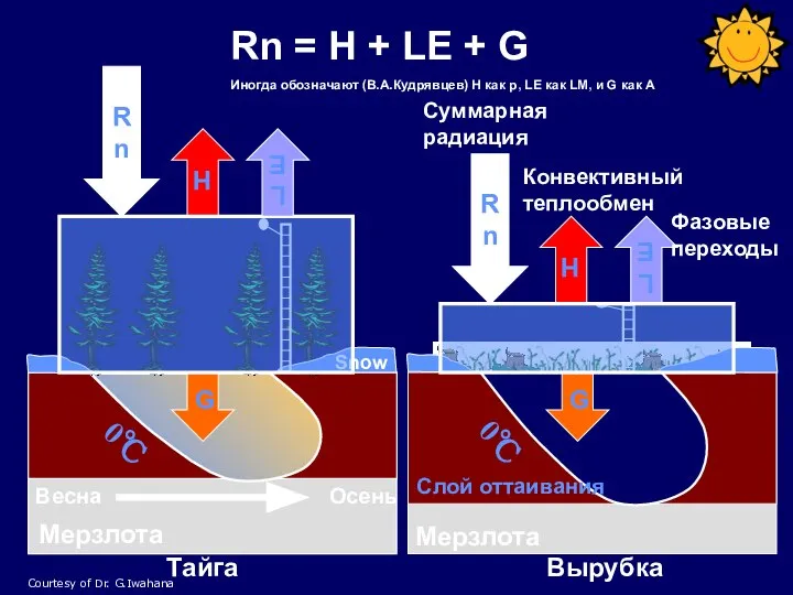 Мерзлота 0℃ 0℃ Snow Тайга Вырубка Rn = H + LE