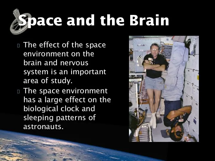 The effect of the space environment on the brain and nervous