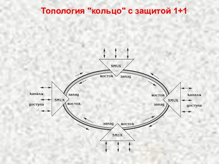 Топология "кольцо" c защитой 1+1