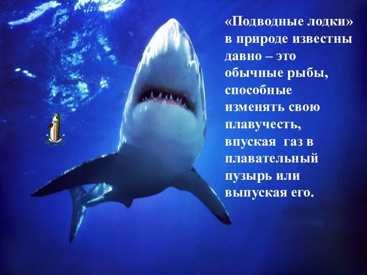 «Подводные лодки» в природе известны давно – это обычные рыбы, способные