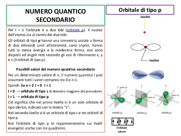 NUMERO QUANTICO SECONDARIO Per l = 1 l'orbitale è a due