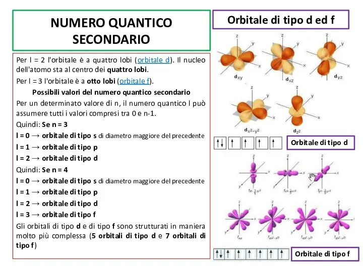 NUMERO QUANTICO SECONDARIO Per l = 2 l'orbitale è a quattro