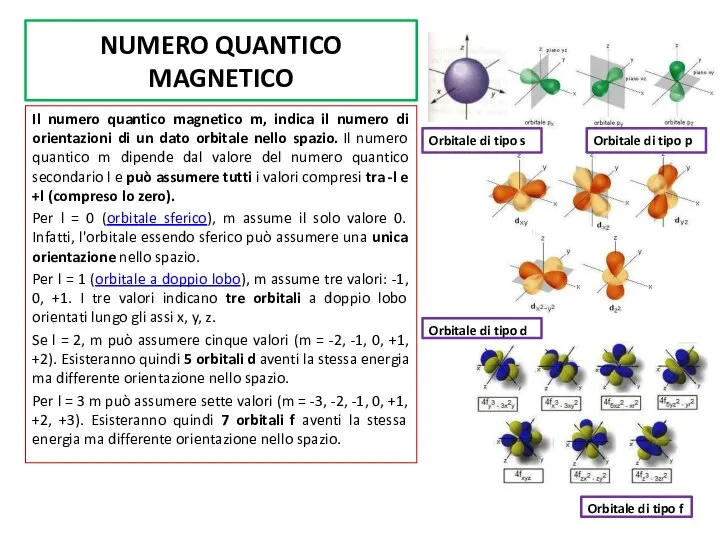 NUMERO QUANTICO MAGNETICO Il numero quantico magnetico m, indica il numero