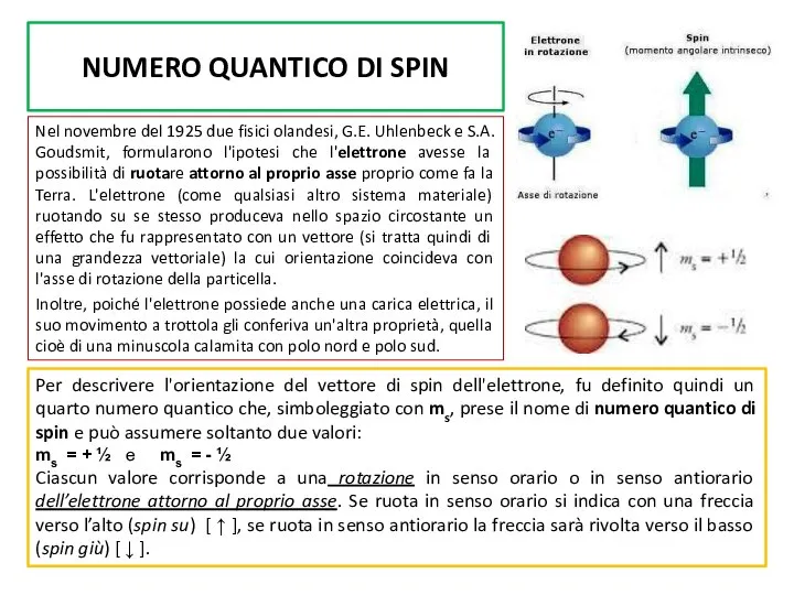 NUMERO QUANTICO DI SPIN Nel novembre del 1925 due fisici olandesi,