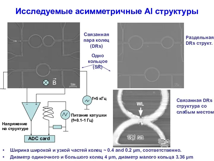 Исследуемые асимметричные Al структуры Ширина широкой и узкой частей колец ~