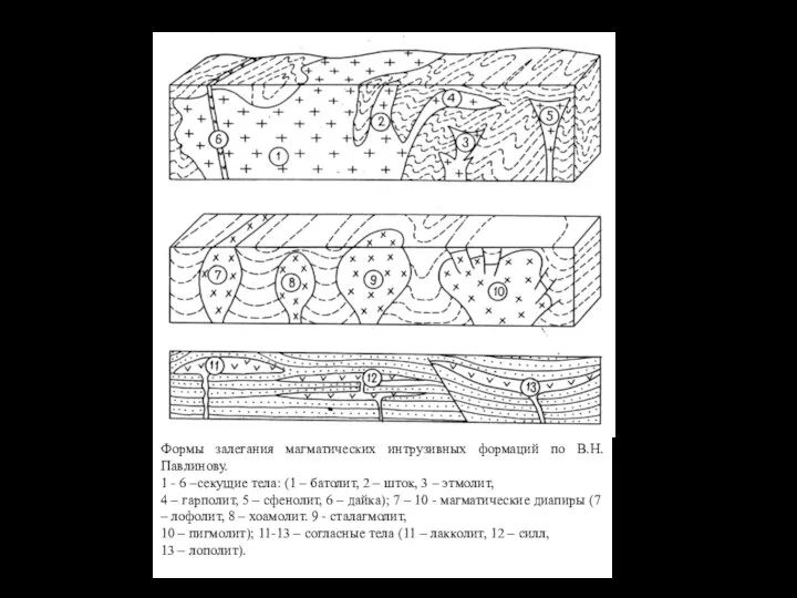 Формы залегания магматических интрузивных формаций по В.Н.Павлинову. 1 - 6 –секущие