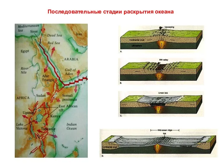 Последовательные стадии раскрытия океана