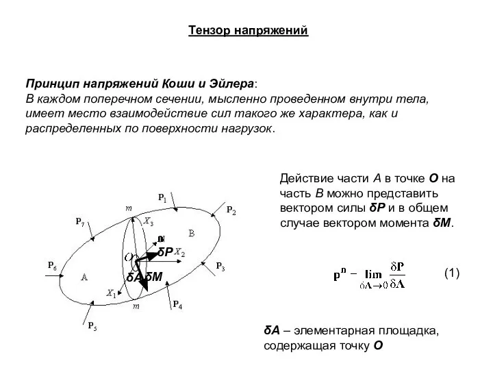 Принцип напряжений Коши и Эйлера: В каждом поперечном сечении, мысленно проведенном