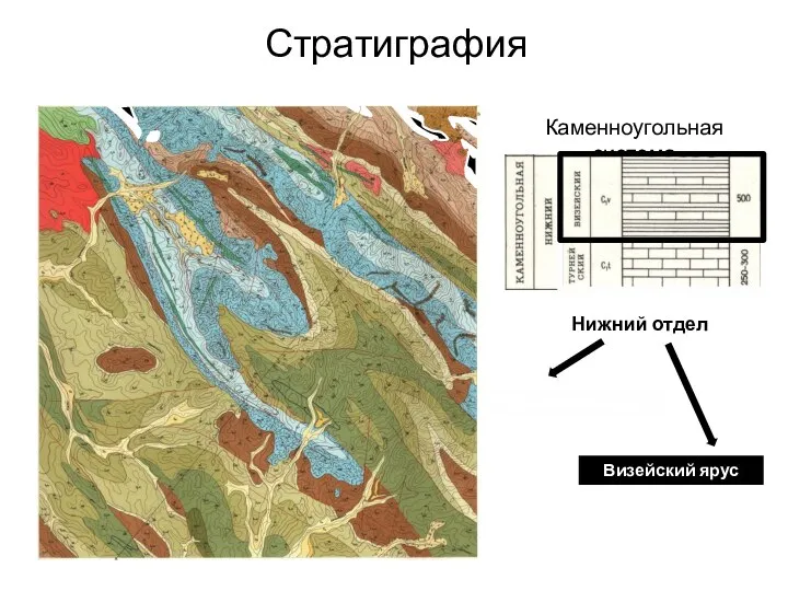 Стратиграфия Каменноугольная система Нижний отдел Турнейский ярус (C1t) Визейский ярус (C1v)